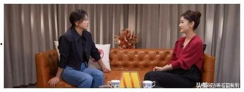 娱乐圈吃瓜二人组讲解,明星幕后故事大曝光